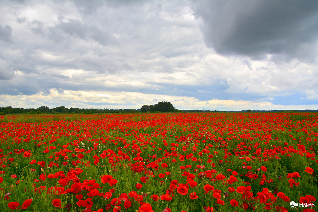 Sümeg határa gomolyfelhőkkel 05.26.