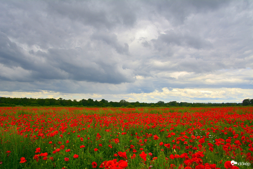 Sümeg határa gomolyfelhőkkel 05.26.