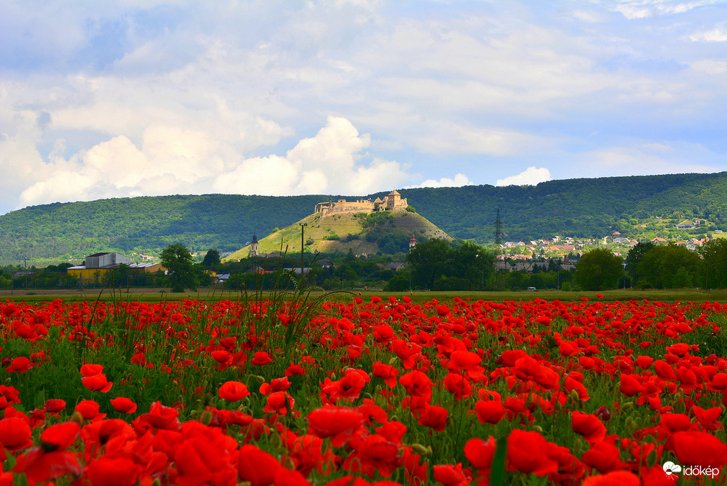 Sümegi vár és határa pipacsok és gomolyfelhők ölelésében 05.26.