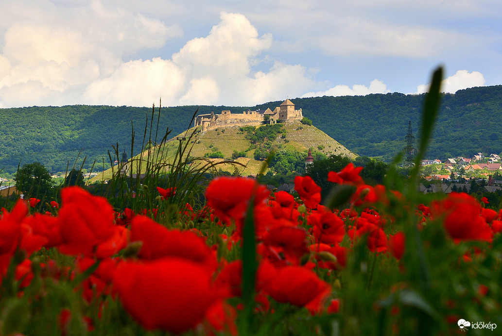 Sümegi vár és határa pipacsok és gomolyfelhők ölelésében 05.26.