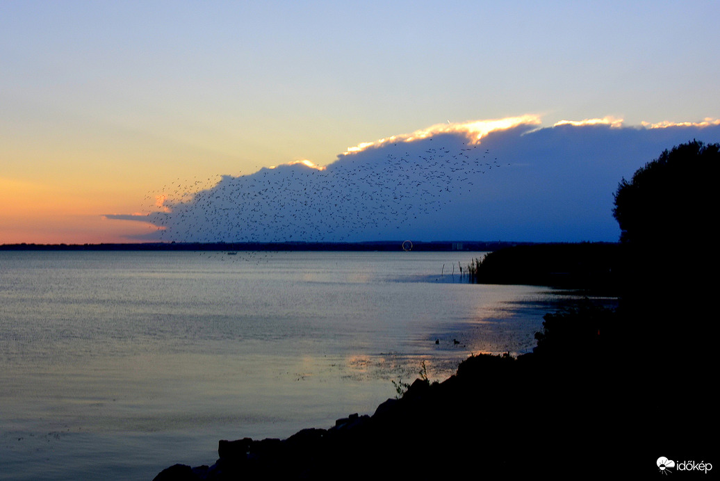 Balaton