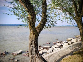 Balatonberény 08.17.