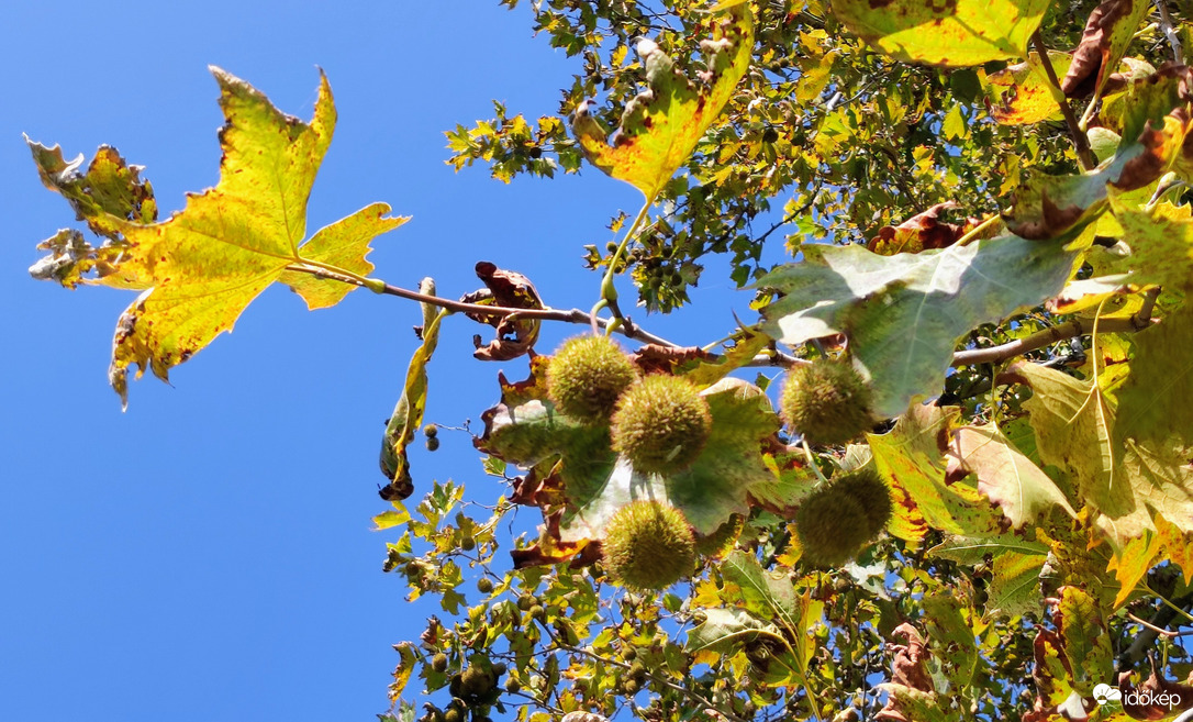 Itt van az ősz 09.05.