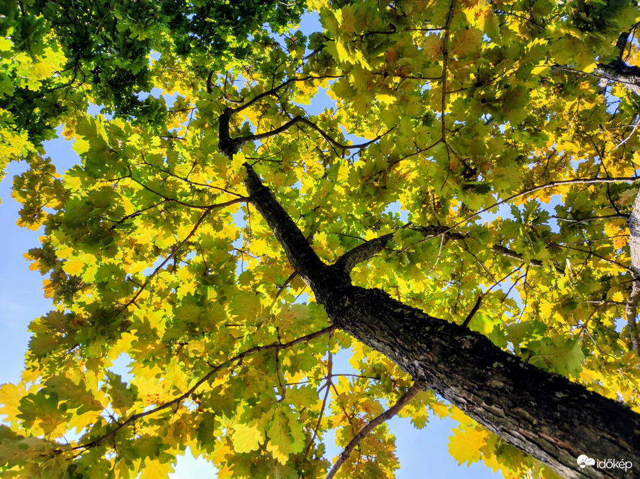 Itt van az ősz 09.05.