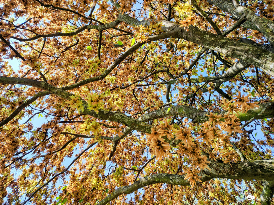 Itt van az ősz 09.05.