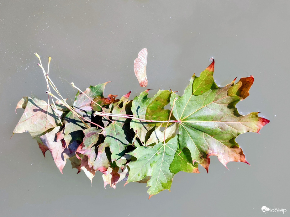 Itt van az ősz...09.05.