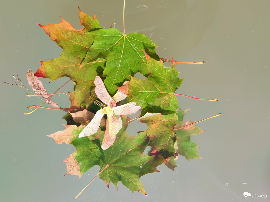 Itt van az ősz 09.05.