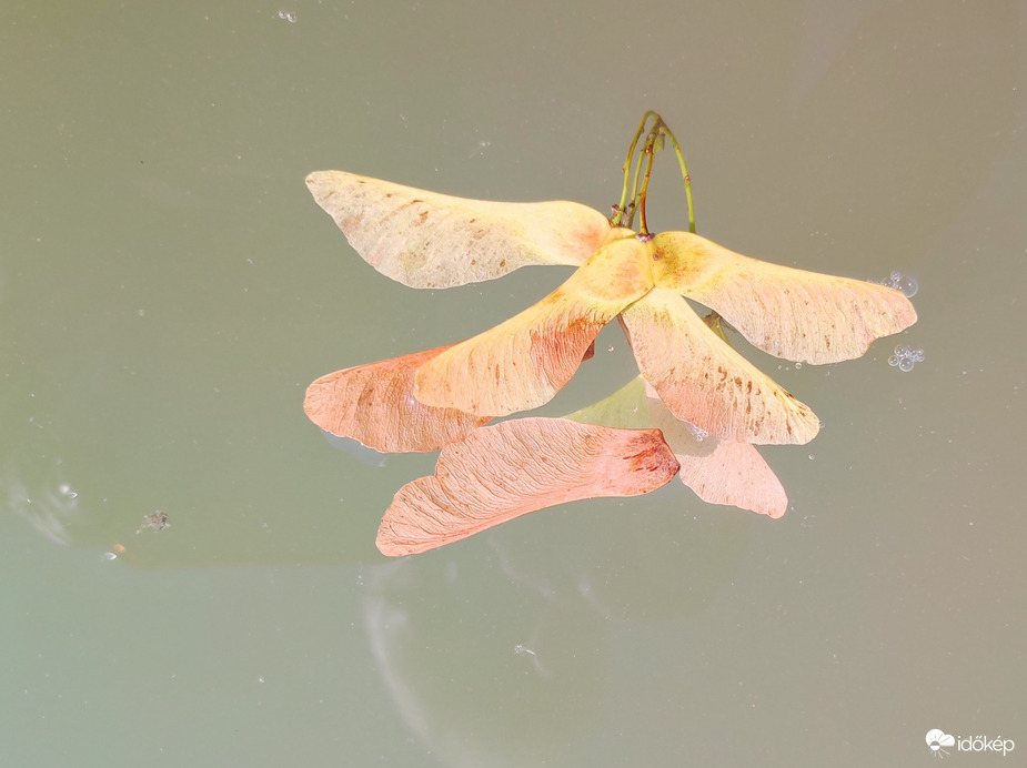 Itt van az ősz 09.05.