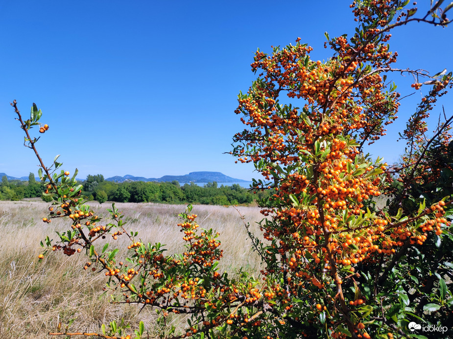 Szeptember közepén 