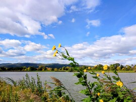 Októberi ősz az Abért-tónál 10.11.