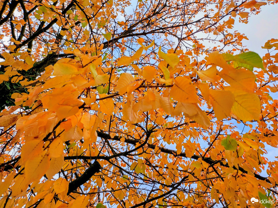 Színek a szürke időjárásban 10.16.