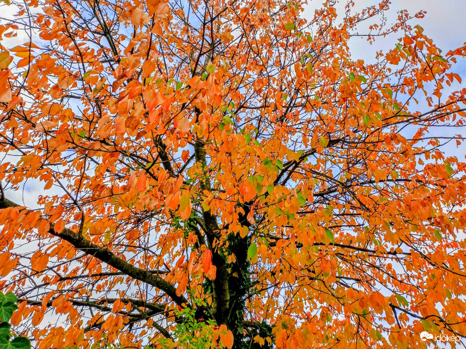 Színek a szürke időjárásban 10.16.