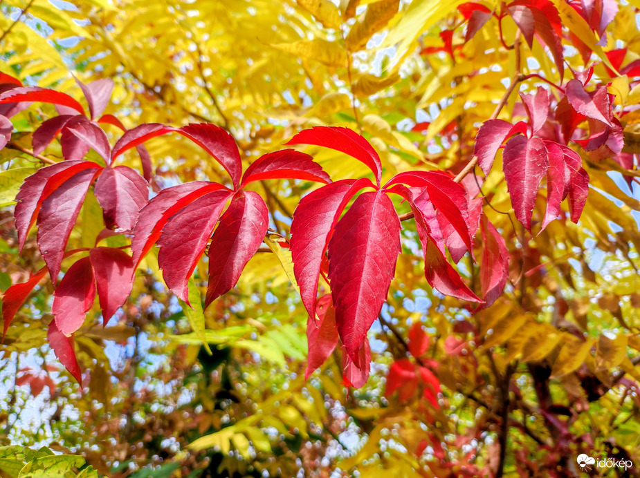 Színek a szürke időjárásban 10.16.