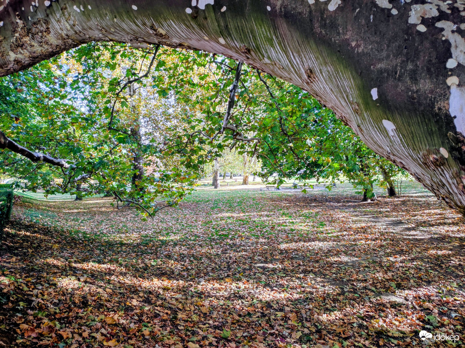 Október végén 10.29.