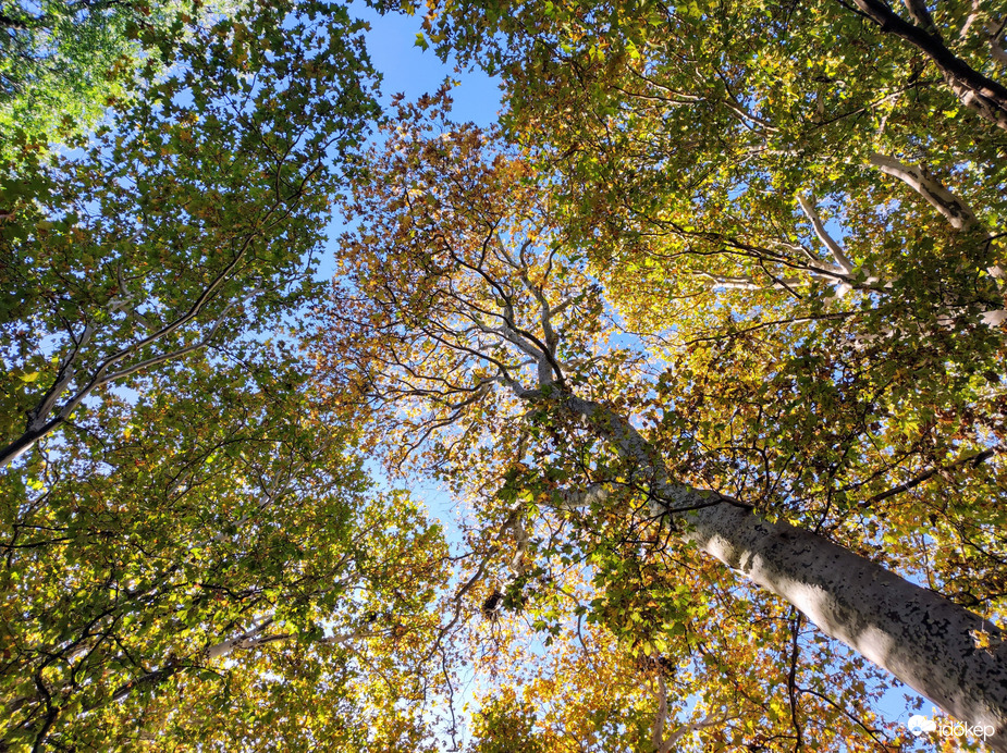 Október végén 10.29.