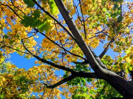 Október végén 10.29.