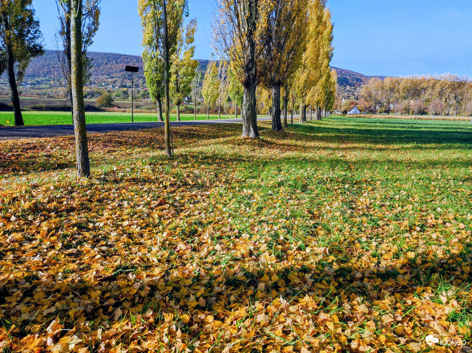 Novemberi ősz 11.02.