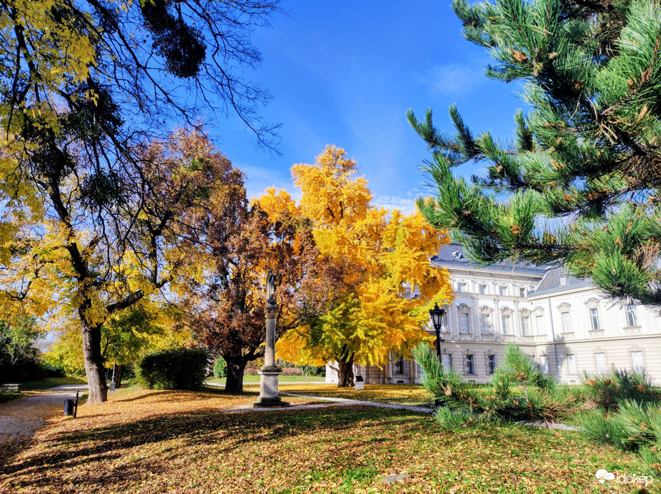 Gyönyörű őszi 11.02.