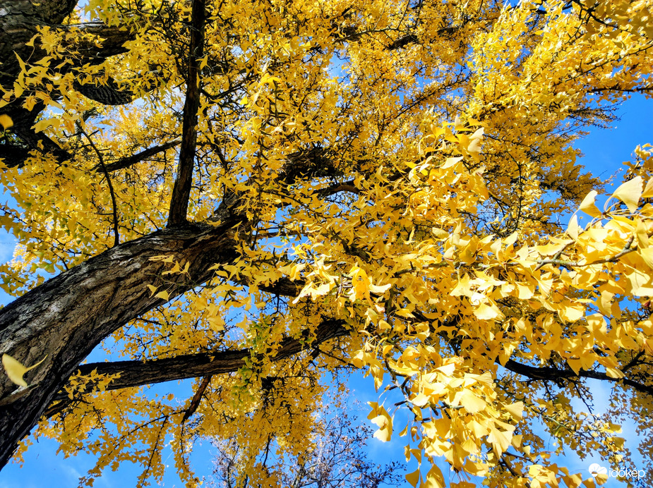 Gyönyörű őszi 11.02.