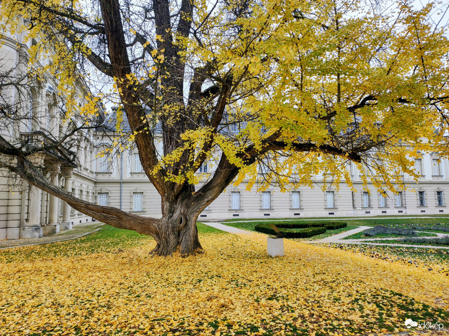 November közepén 11.16.