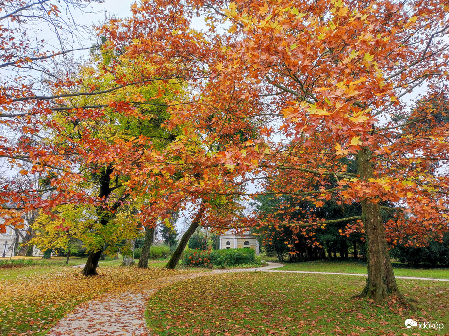 November közepén 11.16.