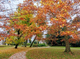 November közepén 11.16.