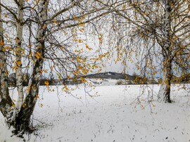 Ősz és tél találkozása 11.23. 