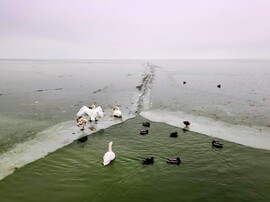 Mai napkelte Balatongyörökön 01.20.