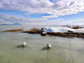 Jelenleg Balatongyörökön 02.23.