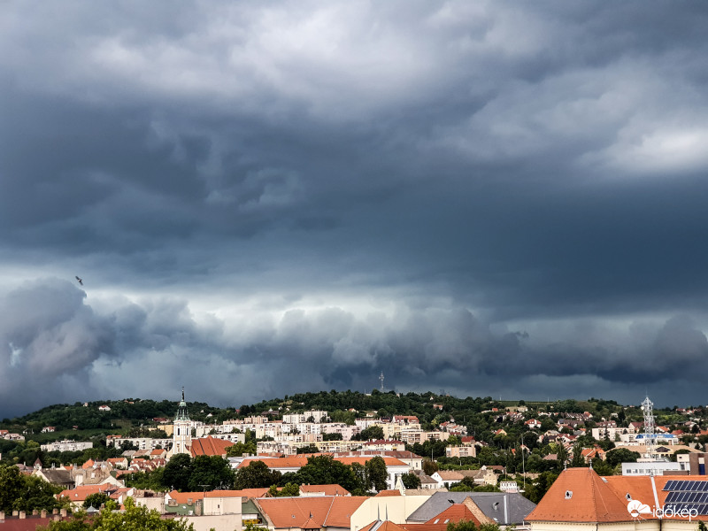 Szekszárdra érkezett 