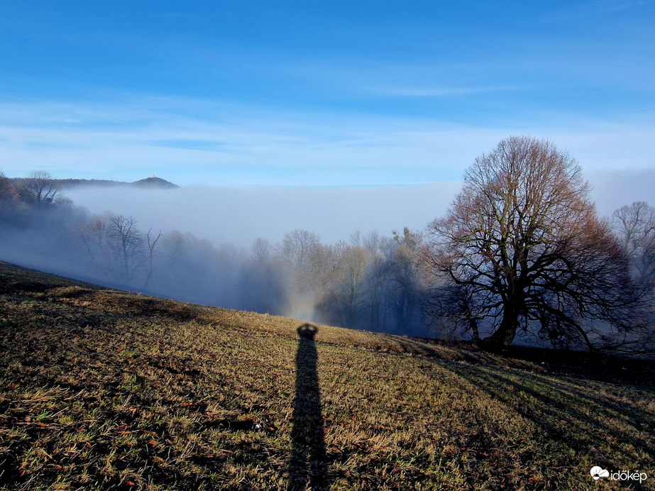 Hidegpárna felett kék az ég! Normafa
