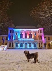 Neki tetszik a legjobban