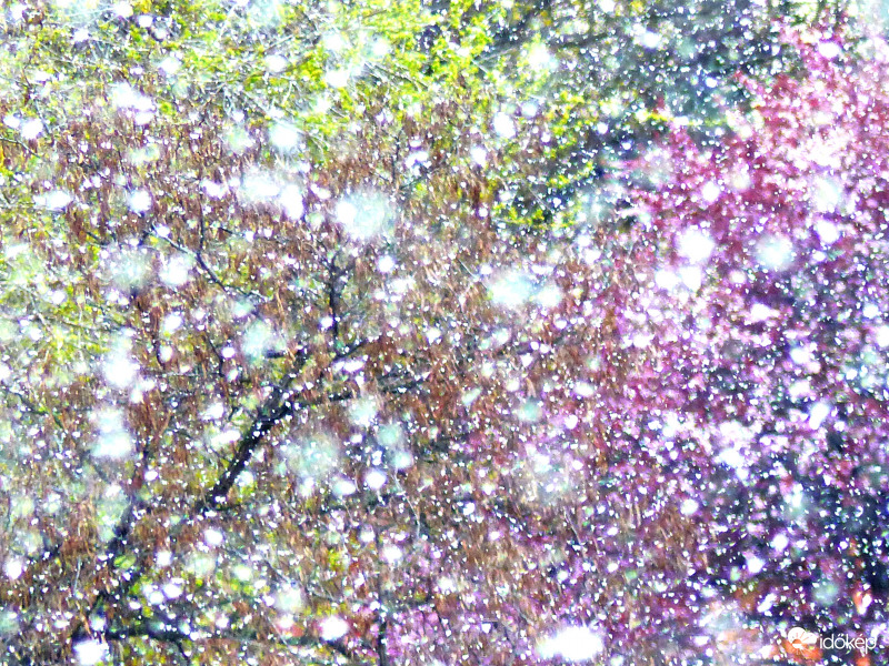 Most tavasz, vagy tél? 