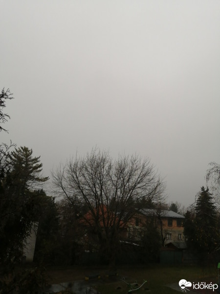 Ružinov