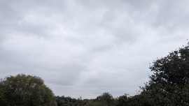 Olaszliszka