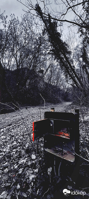 Természet, és enyészet 