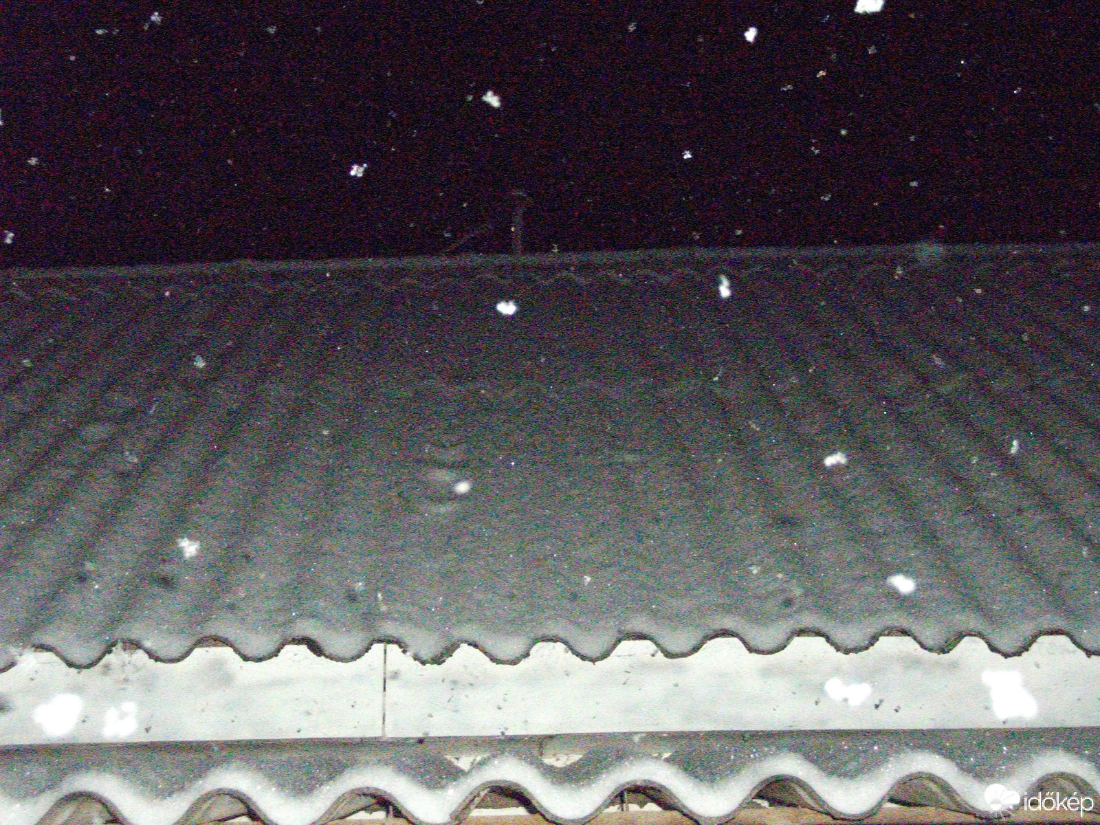 Báta