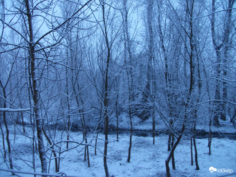 Téli reggel a Gemencben