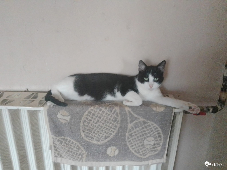 Amikor elindul a fűtés, rögtön felugrik :)