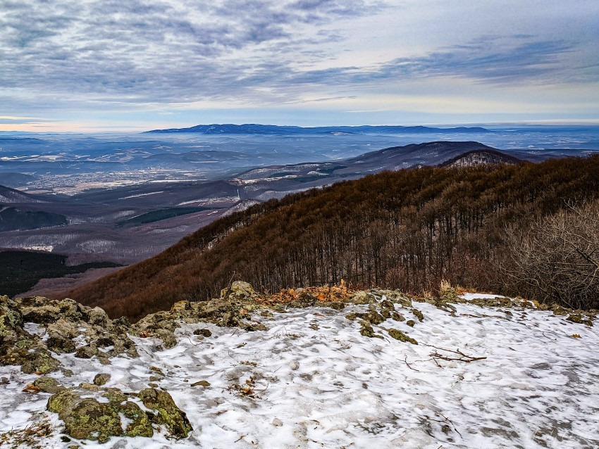 Nagykőrös