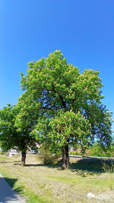 Bajna