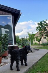 Bajna