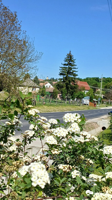 Bajna