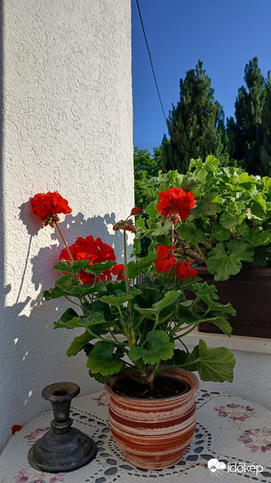 Bajna