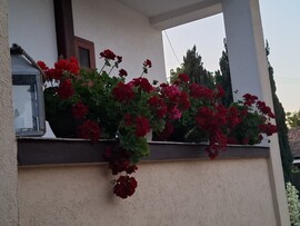 Bajna