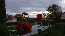 Bajna