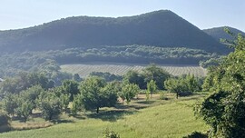 Bajna