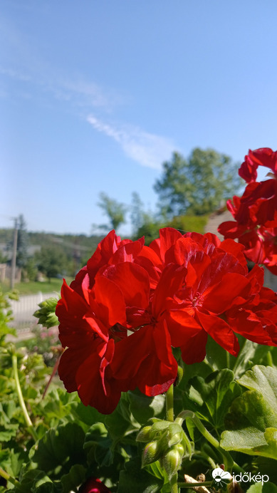 Bajna