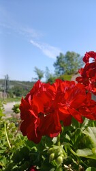 Bajna