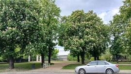 Bajna